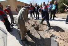 گزارش تصویری مراسم روز درختکاری